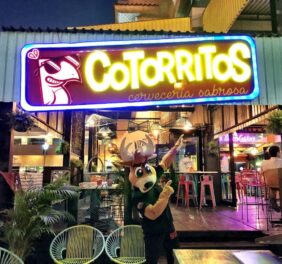 Cotorritos Mazatlán