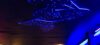 Sereia Sunset Club by G